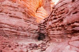 טיול שנתי בהרי אילת כיתות י”א by sapir cohen - Illustrated by חן אידרי, ספיר כהן, טל בן דהן ואלונה גונדא - Ourboox.com