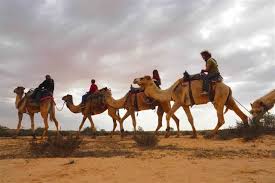 טיול שנתי בהרי אילת כיתות י”א by sapir cohen - Illustrated by חן אידרי, ספיר כהן, טל בן דהן ואלונה גונדא - Ourboox.com