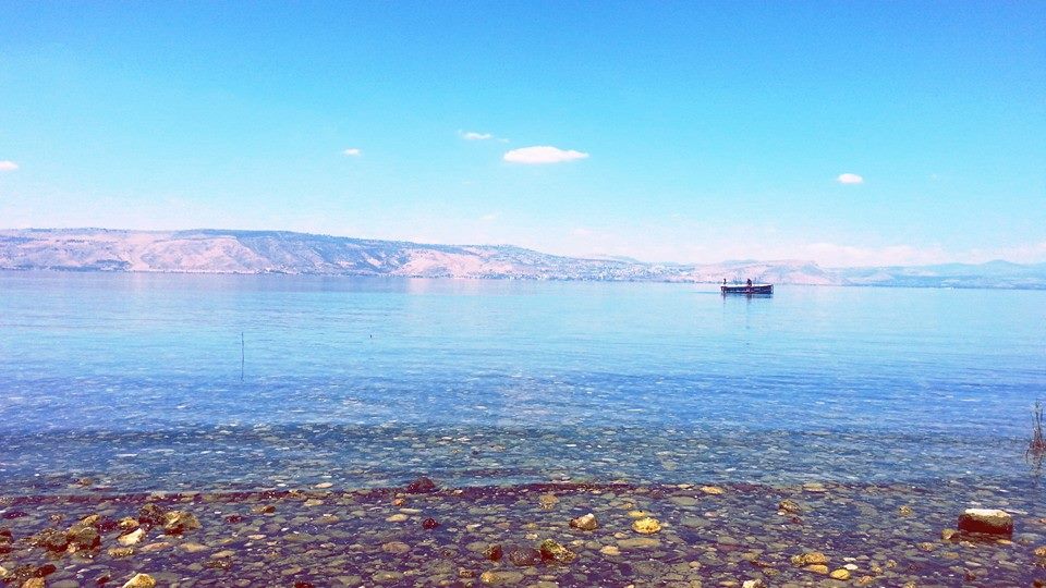 דרום רמת הגולן , הכנרת ואזור הגליל העליון by adi dadon - Ourboox.com