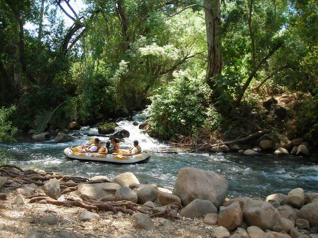 עבודת שורשים אורי ברזני by ori barazani - Ourboox.com