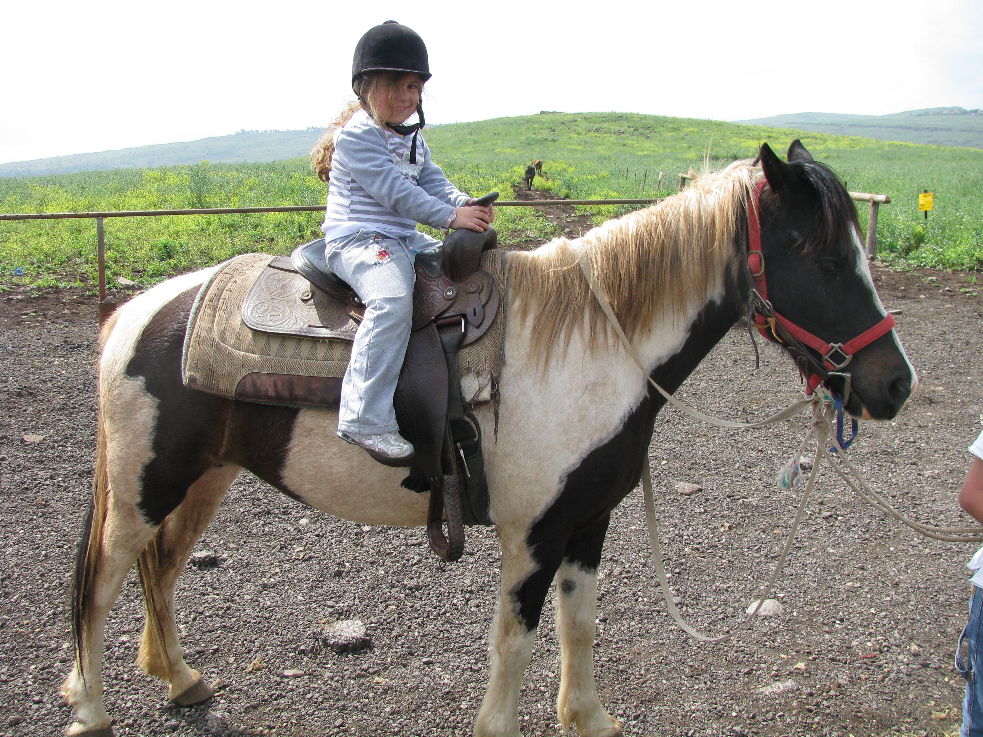 עבודת שורשים – מי קובע מה אני?! by einav - Ourboox.com