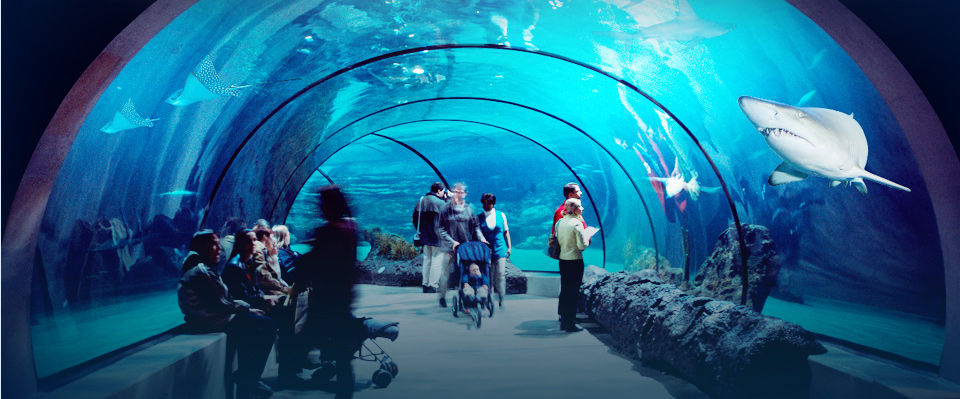 כיתה ג4 by sivanatbarian - Ourboox.com