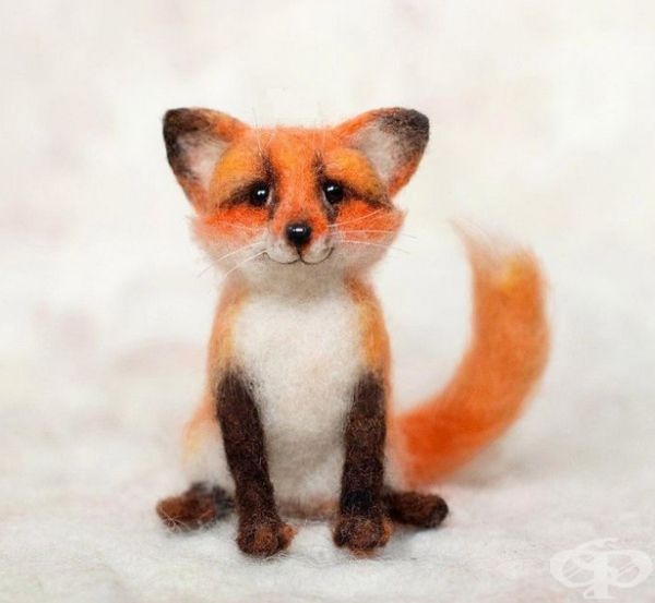 ЖИВОТНИ by kalin - Ourboox.com