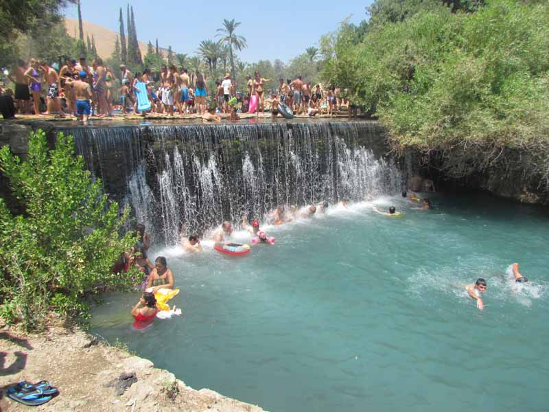 מסע ישראל כיתות יא by adi tachman - Illustrated by עדי מאור לבנה מרקוביץ - Ourboox.com