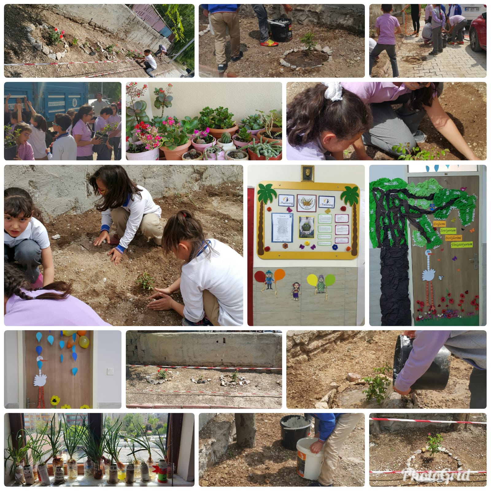 Doğamı Seviyorum Bitkilerimi Yetiştiriyorum by yesimgulburnu - Ourboox.com