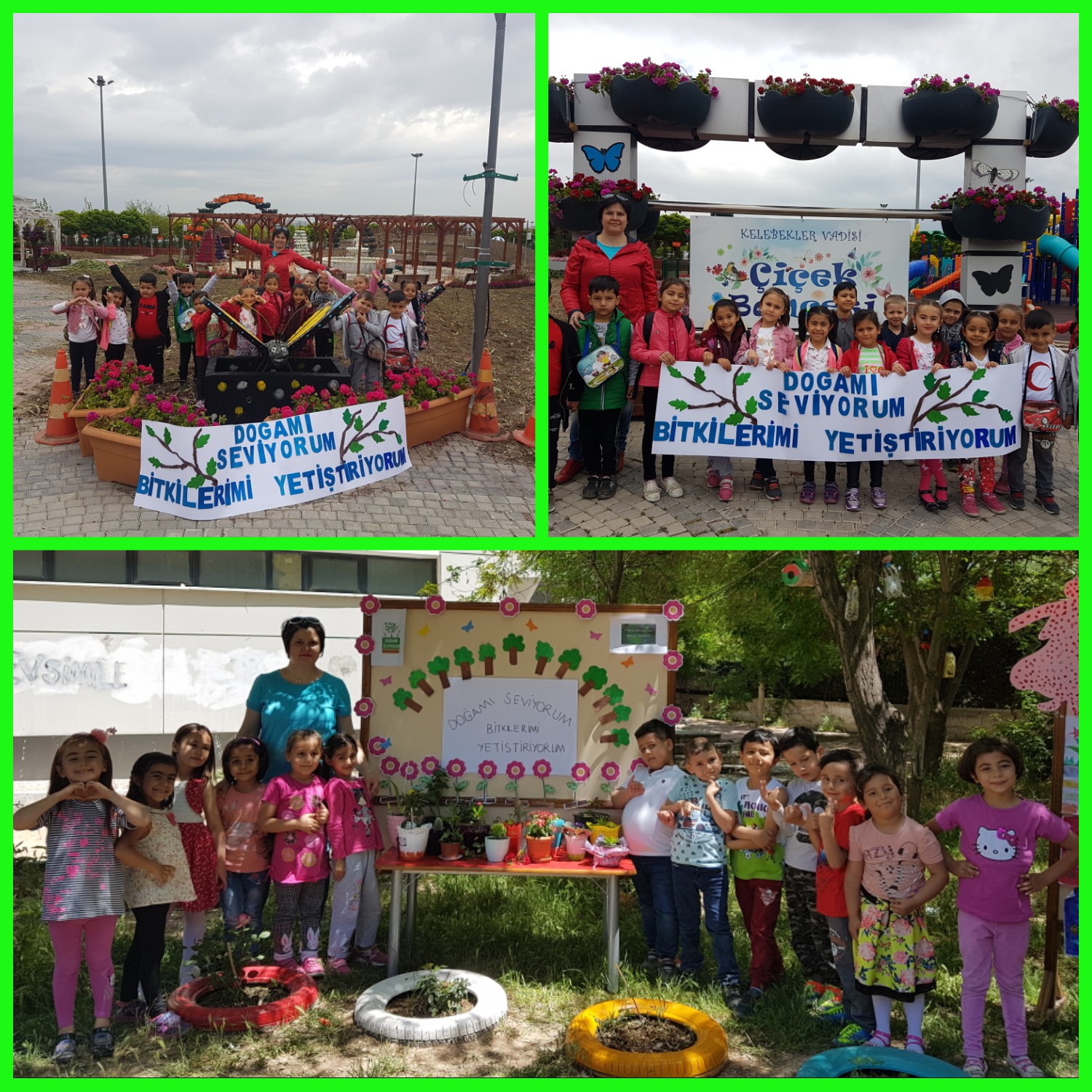 Doğamı Seviyorum Bitkilerimi Yetiştiriyorum by yesimgulburnu - Ourboox.com