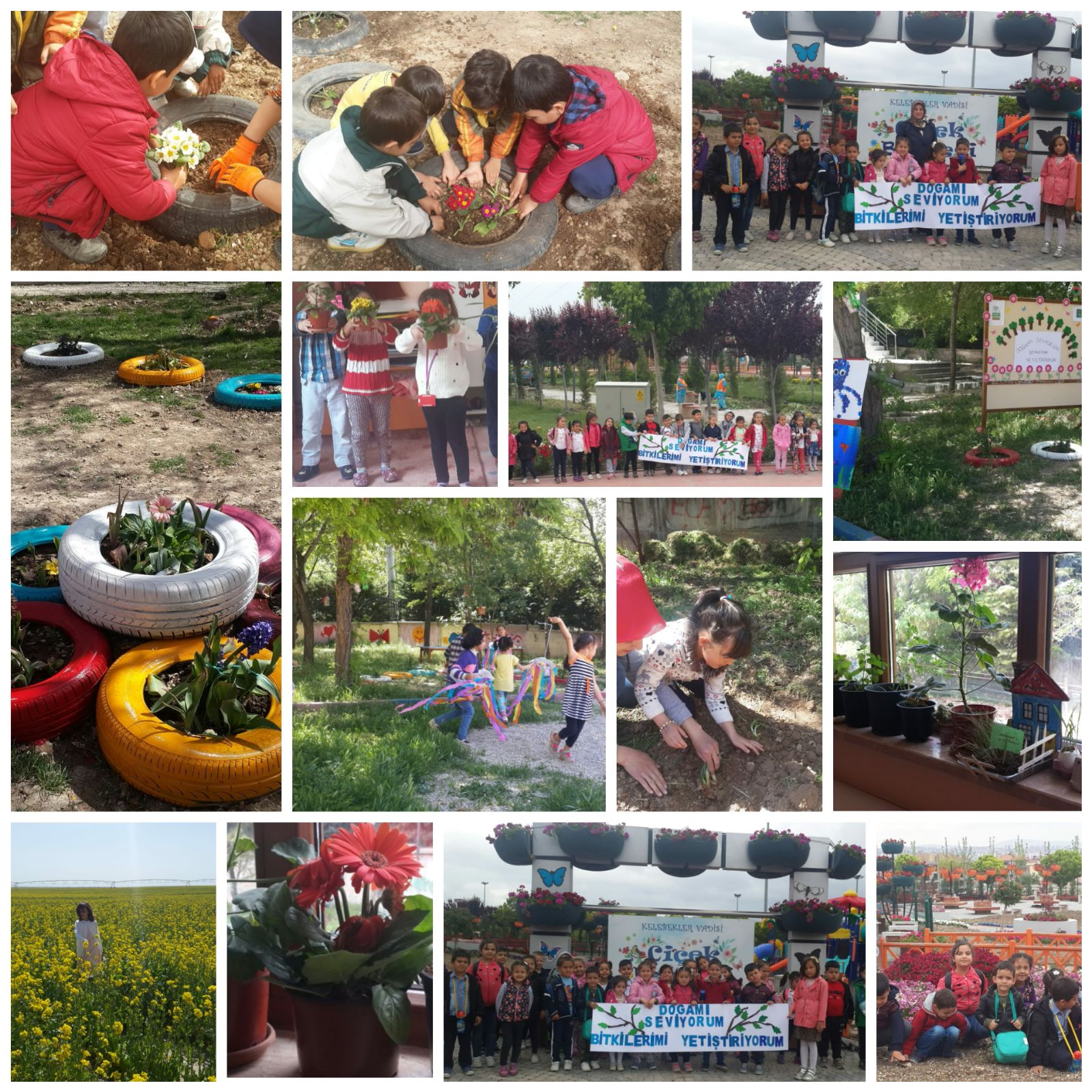 Doğamı Seviyorum Bitkilerimi Yetiştiriyorum by yesimgulburnu - Ourboox.com