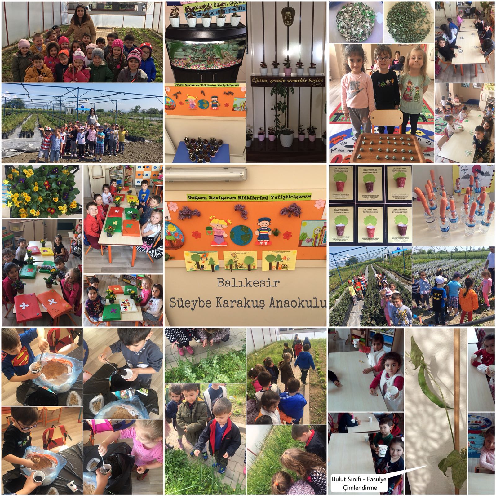 Doğamı Seviyorum Bitkilerimi Yetiştiriyorum by yesimgulburnu - Ourboox.com