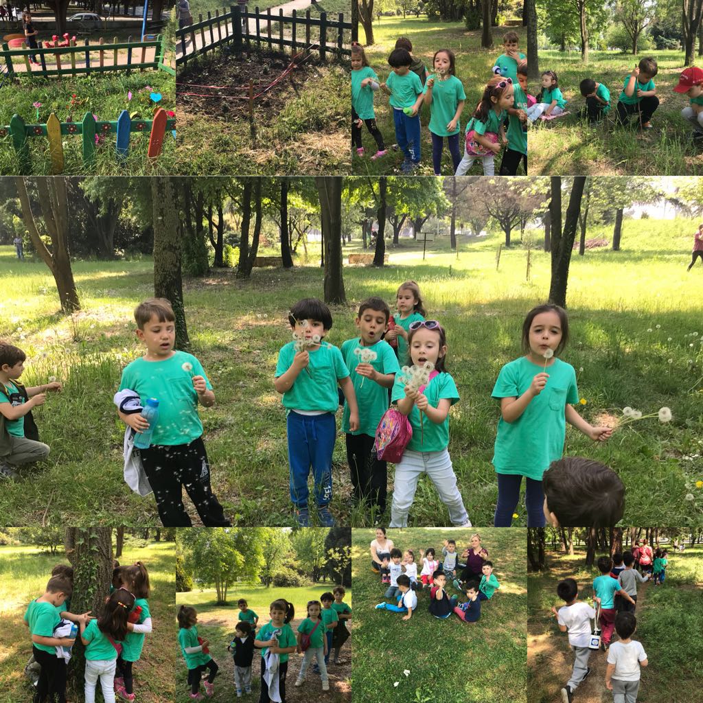 Doğamı Seviyorum Bitkilerimi Yetiştiriyorum by yesimgulburnu - Ourboox.com