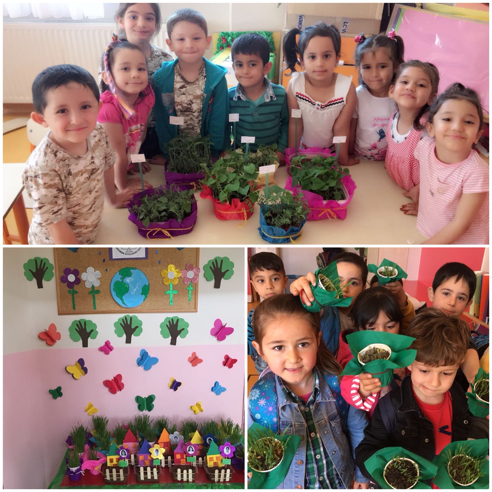 Doğamı Seviyorum Bitkilerimi Yetiştiriyorum by yesimgulburnu - Ourboox.com