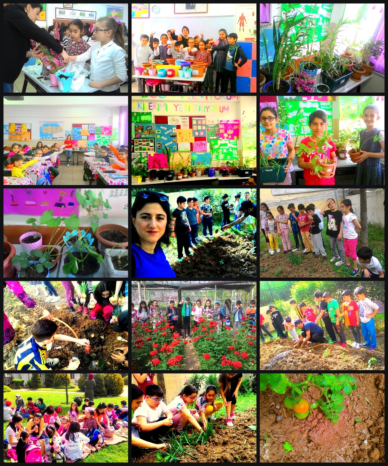 Doğamı Seviyorum Bitkilerimi Yetiştiriyorum by yesimgulburnu - Ourboox.com