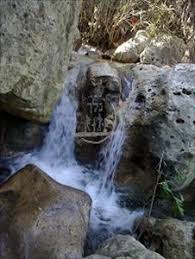 טיול שנתי כיתה י”ב by mineslinoy - Ourboox.com