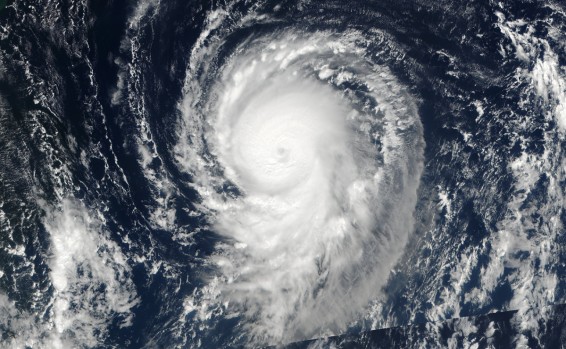 TO THE RESCUE by ofri shaked - Ourboox.com