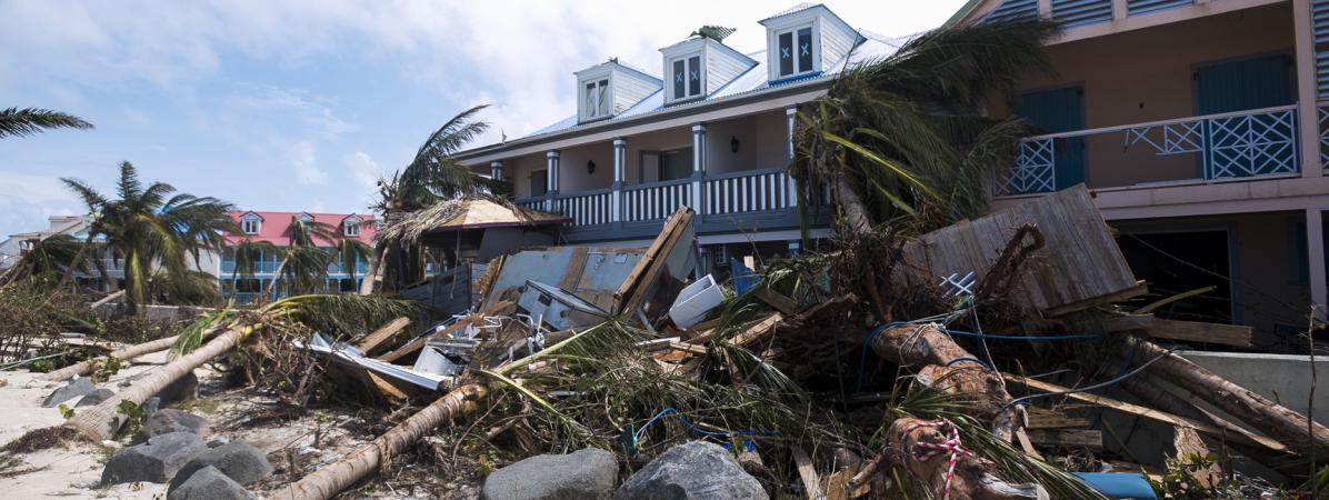 TO THE RESCUE by ofri shaked - Ourboox.com