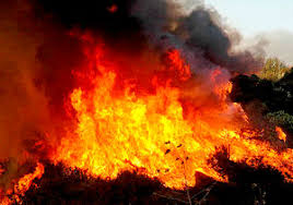 The Carmel disaster by noa - Ourboox.com