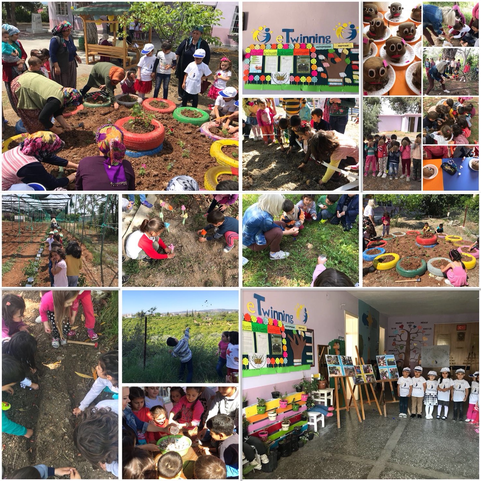 Doğamı Seviyorum Bitkilerimi Yetiştiriyorum by yesimgulburnu - Ourboox.com