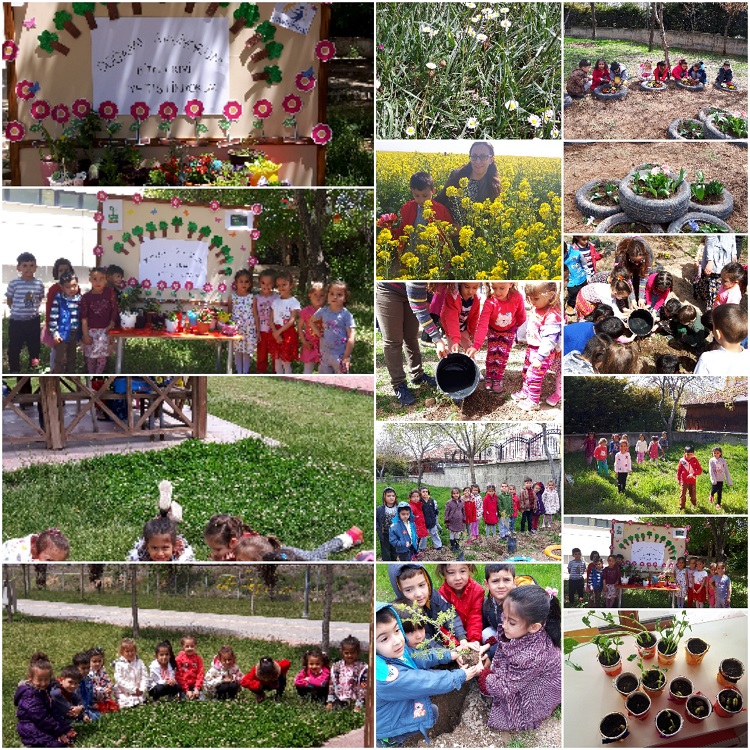 Doğamı Seviyorum Bitkilerimi Yetiştiriyorum by yesimgulburnu - Ourboox.com