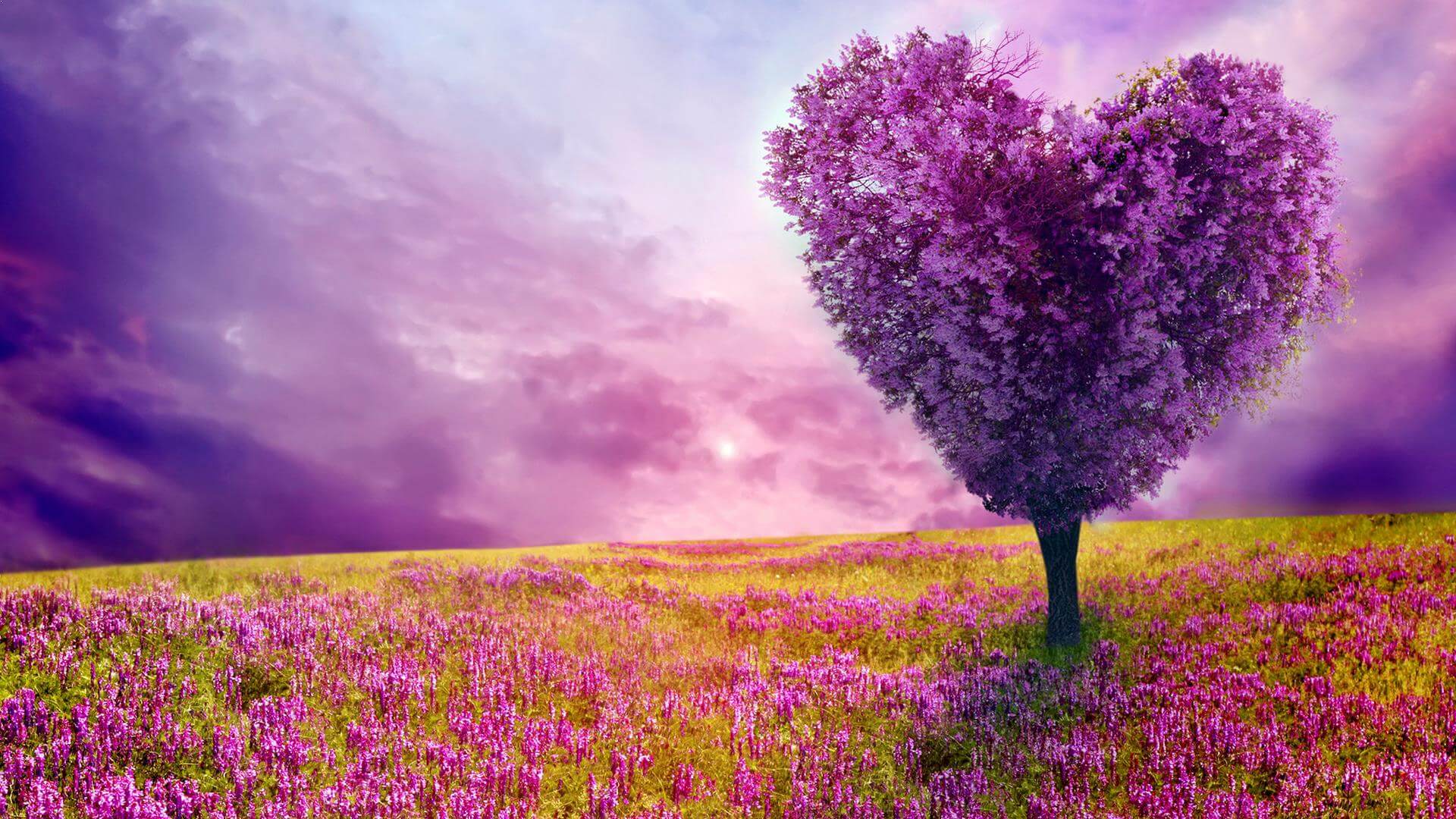 Doğamı Seviyorum Bitkilerimi Yetiştiriyorum by yesimgulburnu - Ourboox.com