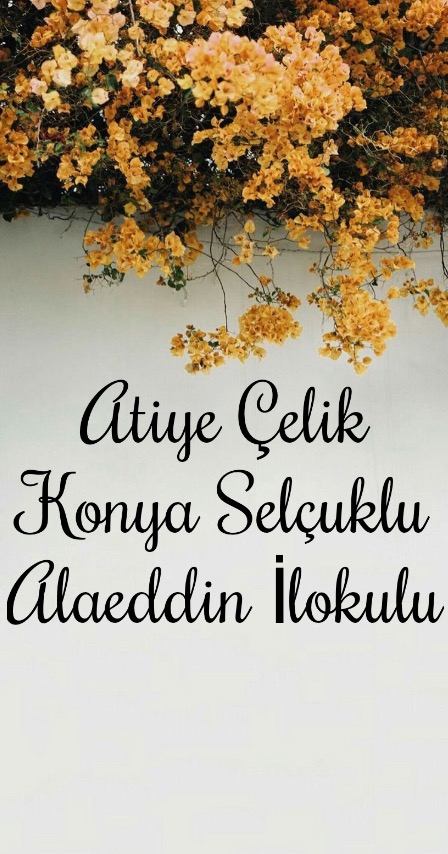 Doğamı Seviyorum Bitkilerimi Yetiştiriyorum by yesimgulburnu - Ourboox.com