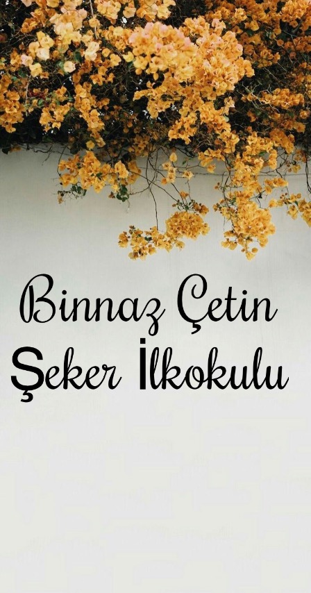 Doğamı Seviyorum Bitkilerimi Yetiştiriyorum by yesimgulburnu - Ourboox.com