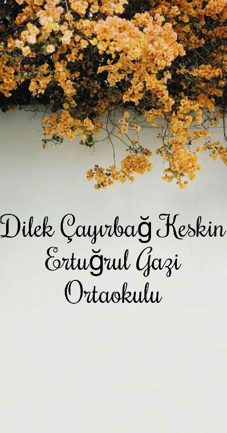 Doğamı Seviyorum Bitkilerimi Yetiştiriyorum by yesimgulburnu - Ourboox.com