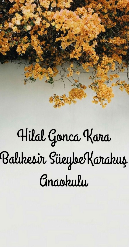 Doğamı Seviyorum Bitkilerimi Yetiştiriyorum by yesimgulburnu - Ourboox.com