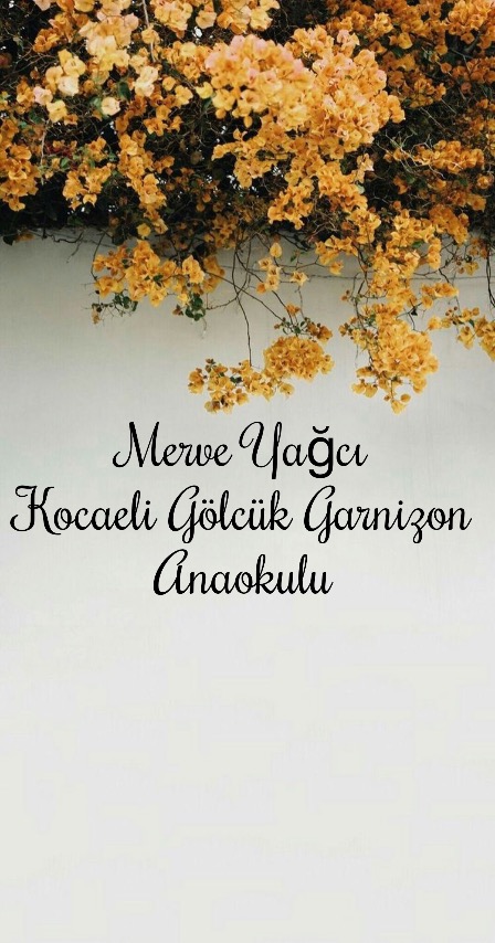 Doğamı Seviyorum Bitkilerimi Yetiştiriyorum by yesimgulburnu - Ourboox.com