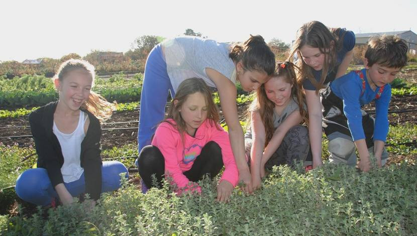 ספר המלצות ג3 by oshritcohennaki - Ourboox.com