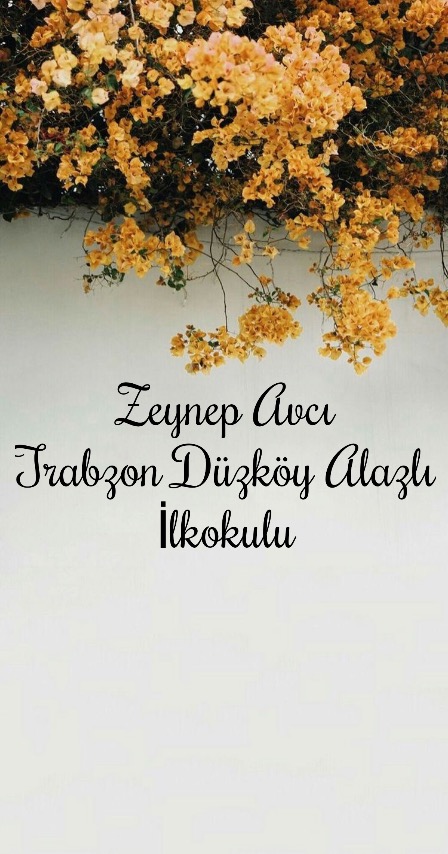 Doğamı Seviyorum Bitkilerimi Yetiştiriyorum by yesimgulburnu - Ourboox.com