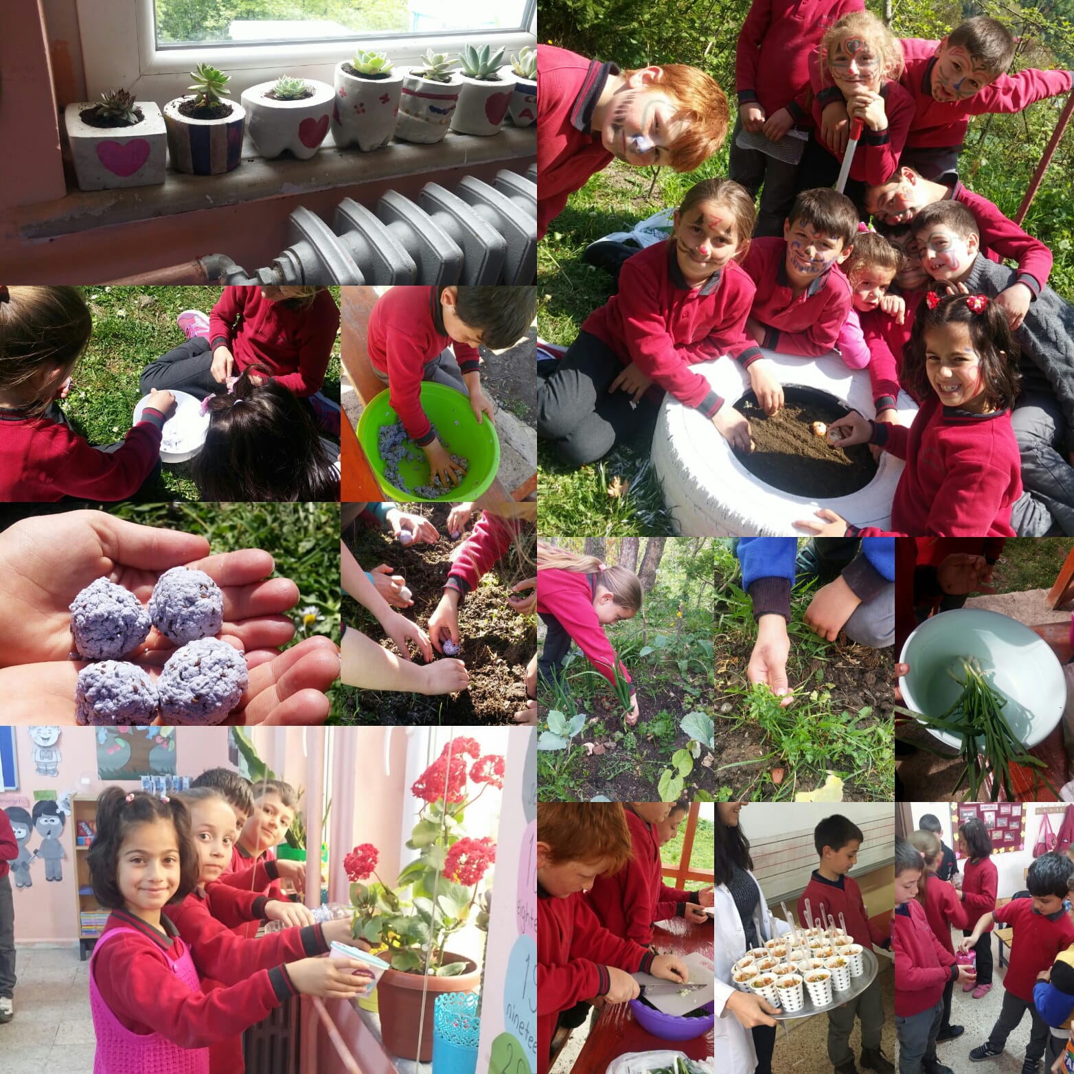 Doğamı Seviyorum Bitkilerimi Yetiştiriyorum by yesimgulburnu - Ourboox.com