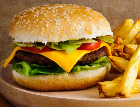 The amazing cat by sara - Ourboox.com