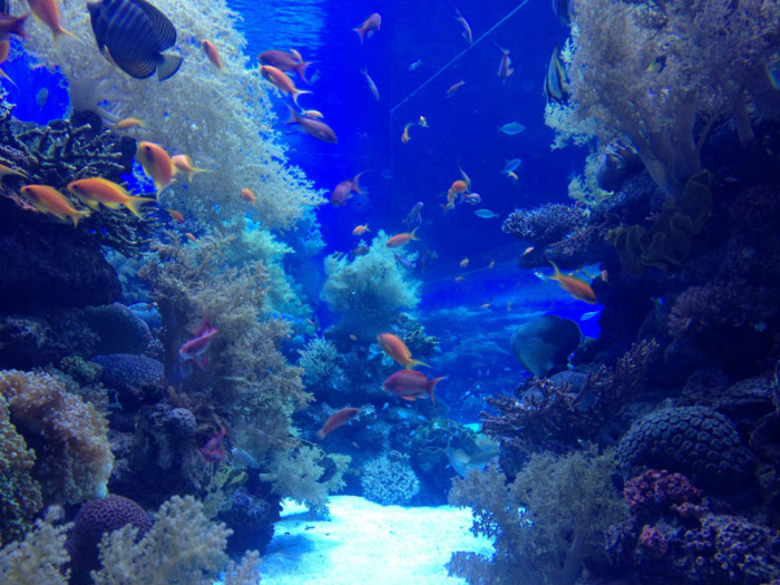 ספר המלצות ג3 by oshritcohennaki - Ourboox.com