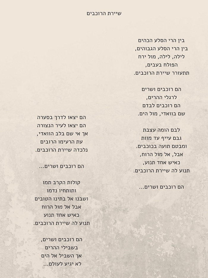 happy birthday! by shany harary - Ourboox.com