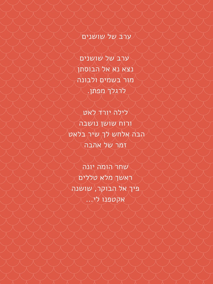 happy birthday! by shany harary - Ourboox.com