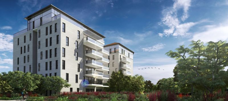 שורשים by Ori Shemesh - Ourboox.com