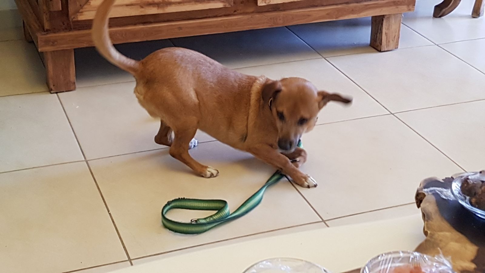 Nadav by Nadav  - Ourboox.com