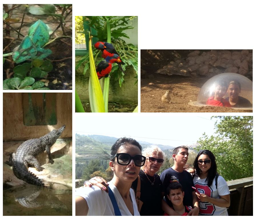 גן החיות התנכי