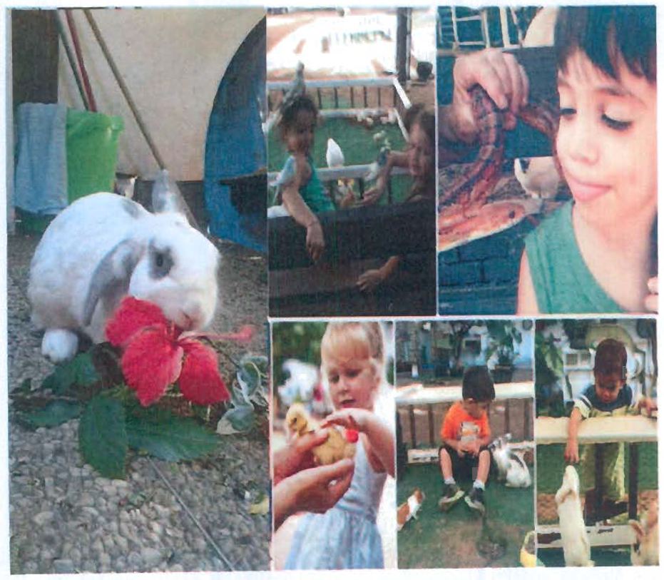 החווה של נטע