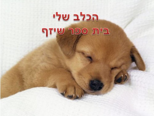 כיתה ה4 האלופה by shshshshsh - Ourboox.com