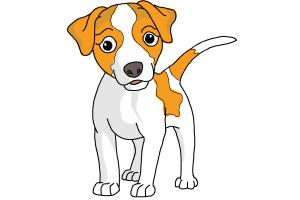 Animals by Rut Azriel - Ourboox.com