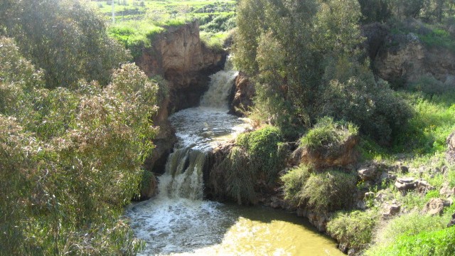 טיול שנתי בגליל, כיתה יא by Hila Dicovsky - Ourboox.com