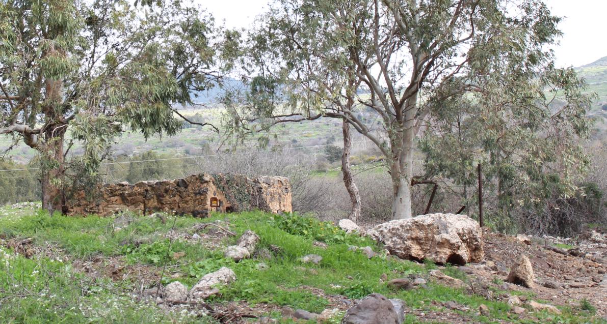 טיול שנתי בגליל, כיתה יא by Hila Dicovsky - Ourboox.com