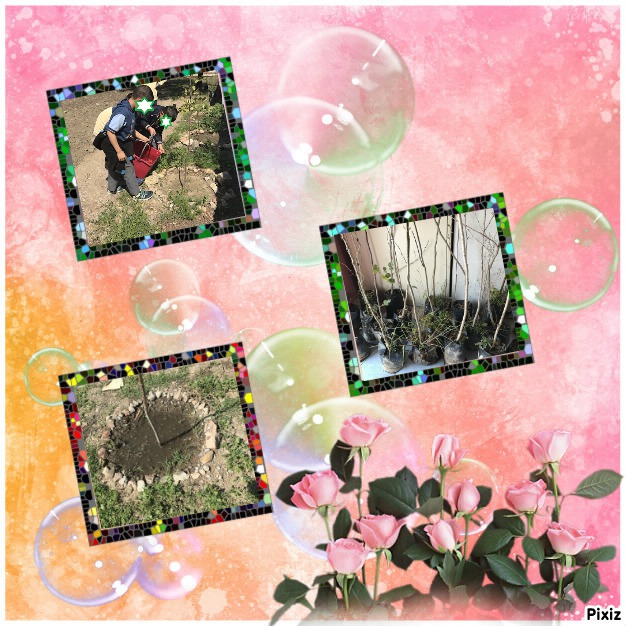 GELECEĞİNİZ İÇİN TASARRUFU SEÇİN PROJESİ MART AYI ÇALIŞMALARIMIZ by KEVSER - Illustrated by   - Ourboox.com