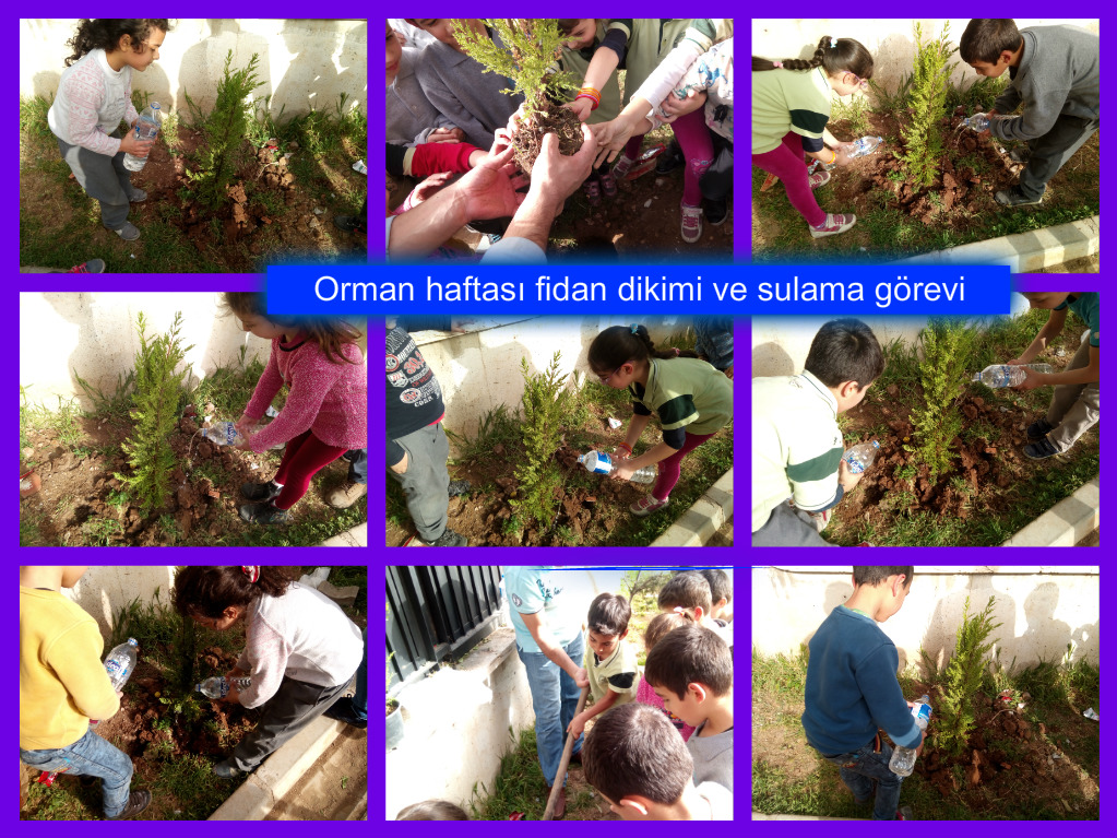 GELECEĞİNİZ İÇİN TASARRUFU SEÇİN PROJESİ MART AYI ÇALIŞMALARIMIZ by KEVSER - Illustrated by   - Ourboox.com