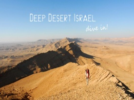 הטיול במדבר יהודה