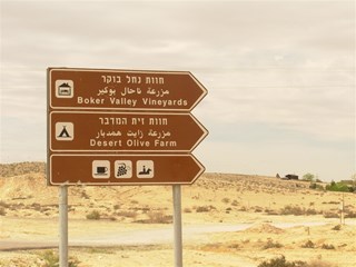 הטיול במדבר יהודה by hodaya zitun - Ourboox.com