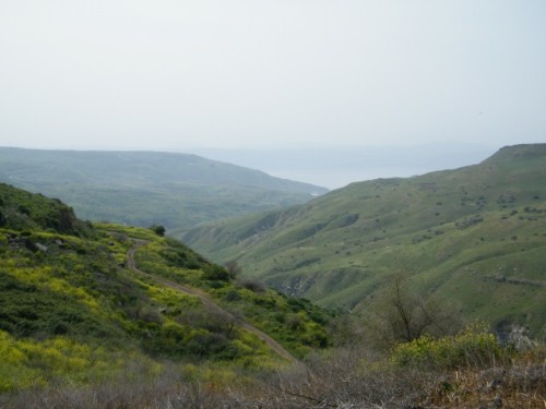 טיול שנתי שכבת י”א אל רמת הגולן by rotem halbwax - Ourboox.com