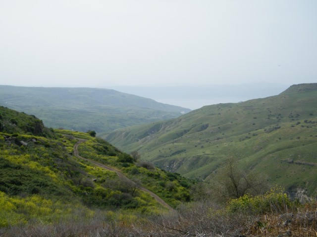 טיול שנתי שכבת י”א אל רמת הגולן by rotem halbwax - Ourboox.com