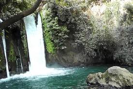 טיול שנתי שכבת י”א אל רמת הגולן by rotem halbwax - Illustrated by בית ספר "אורט גוטמן", נתניה. - Ourboox.com