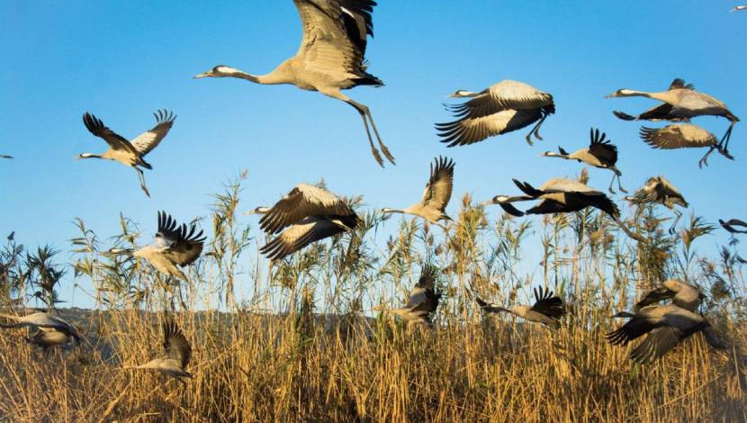 טיול שנתי שכבת י”א אל רמת הגולן by rotem halbwax - Illustrated by בית ספר "אורט גוטמן", נתניה. - Ourboox.com